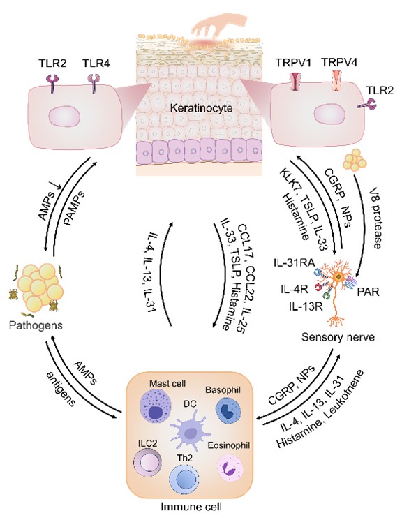 图片2.jpg 图片2.jpg