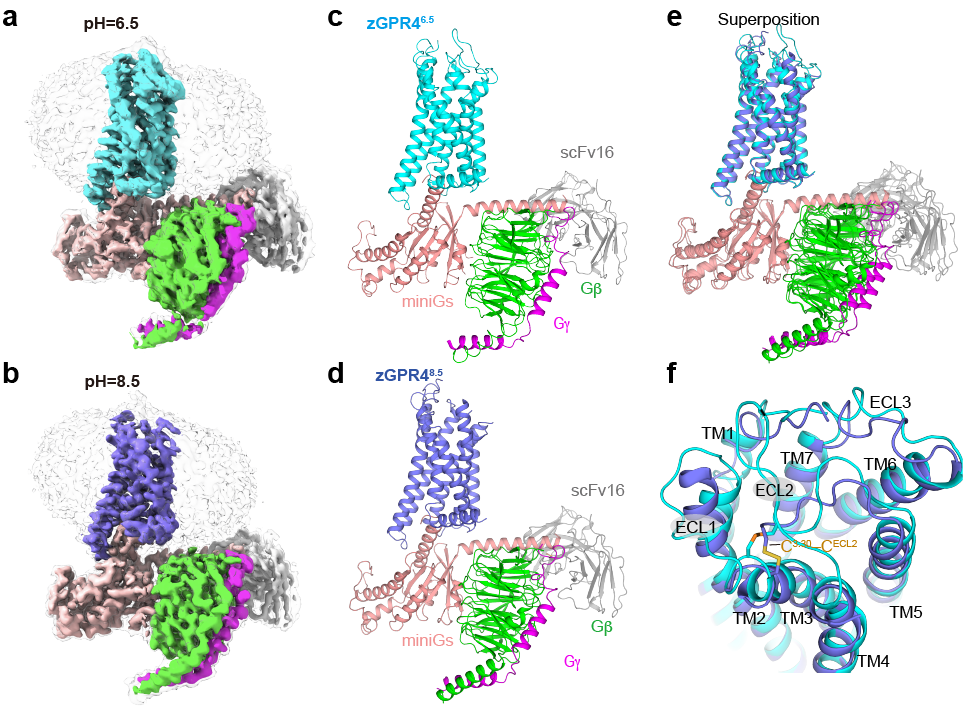 插图2.png 插图2.png