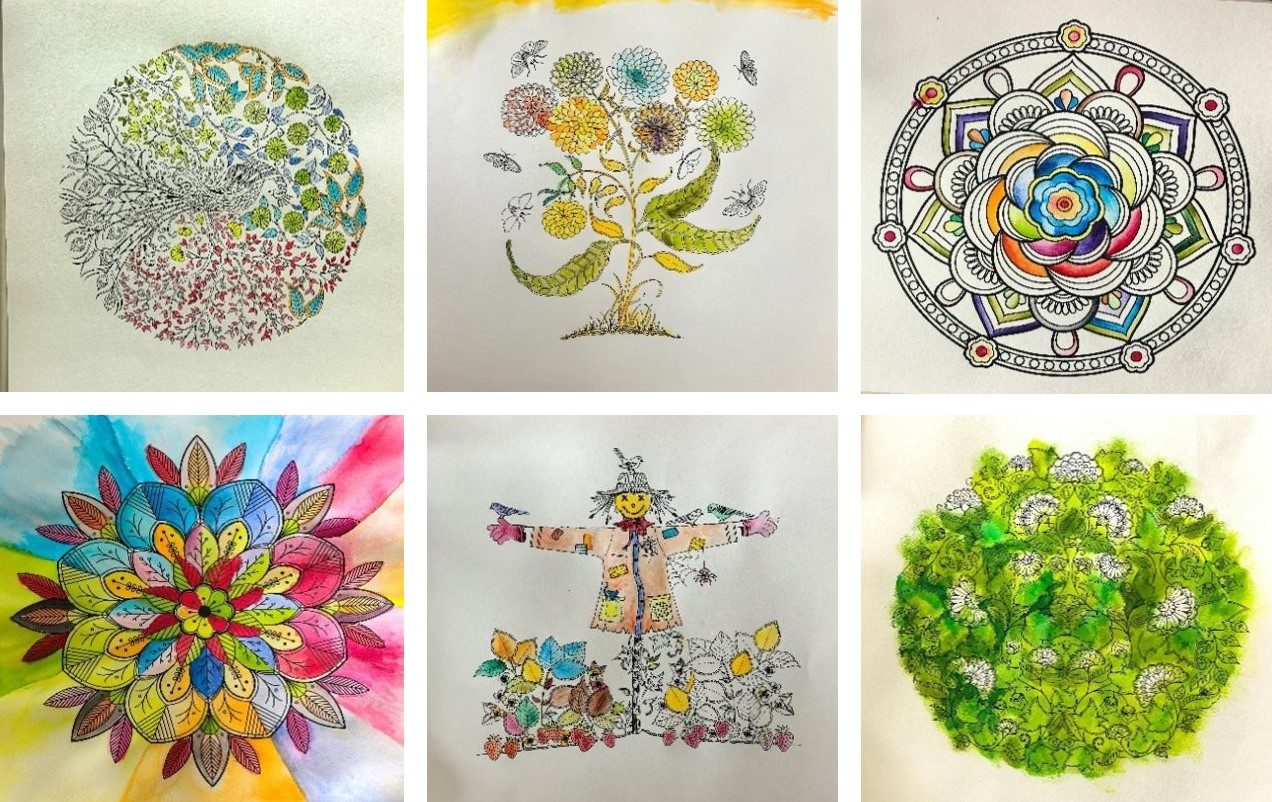 图片3.jpg 图片3.jpg