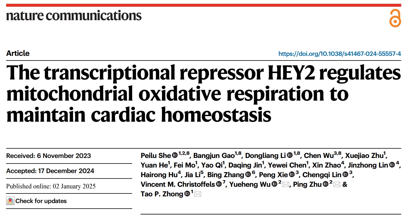 NC发表.jpg NC发表.jpg