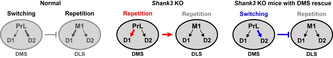 图片2.jpg 图片2.jpg