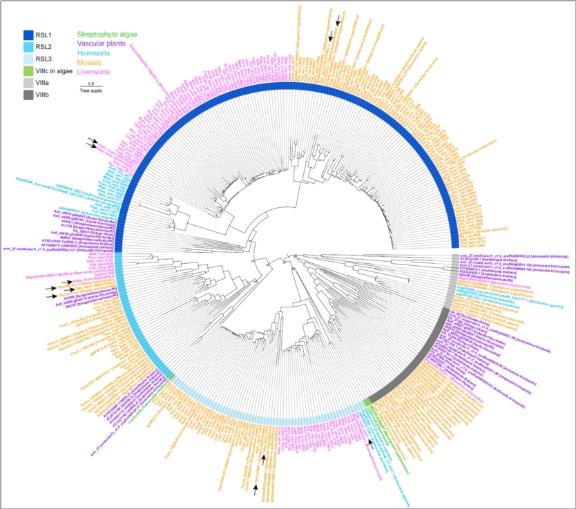 图片5.jpg 图片5.jpg