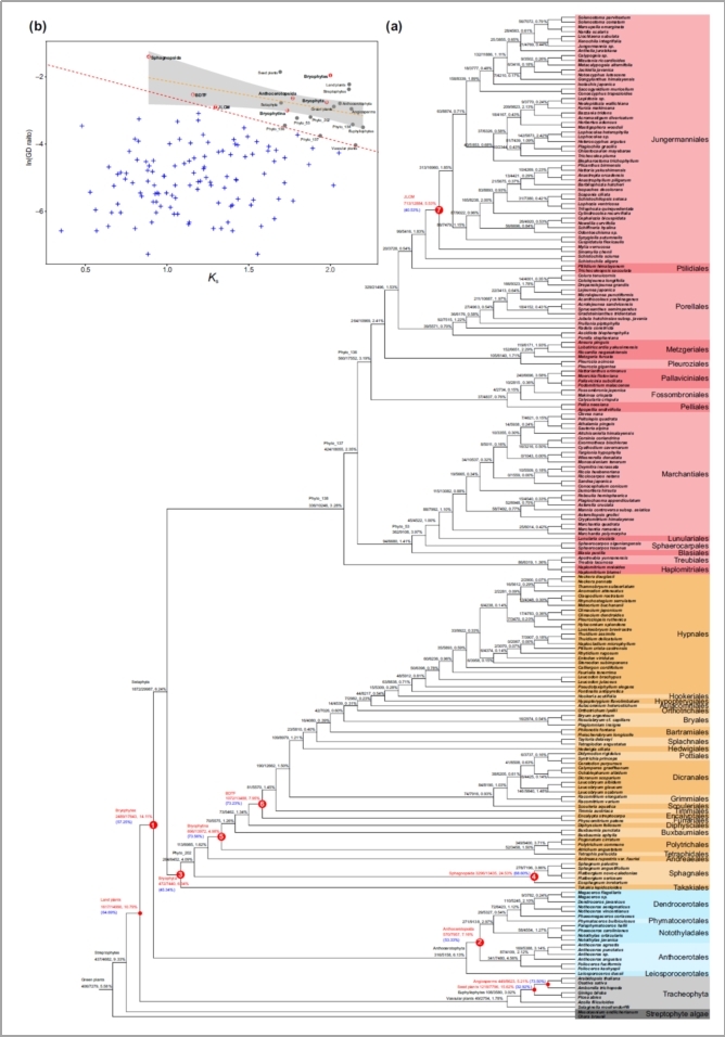 图片3.jpg 图片3.jpg