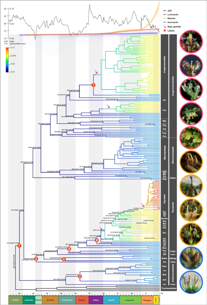 图片6.jpg 图片6.jpg