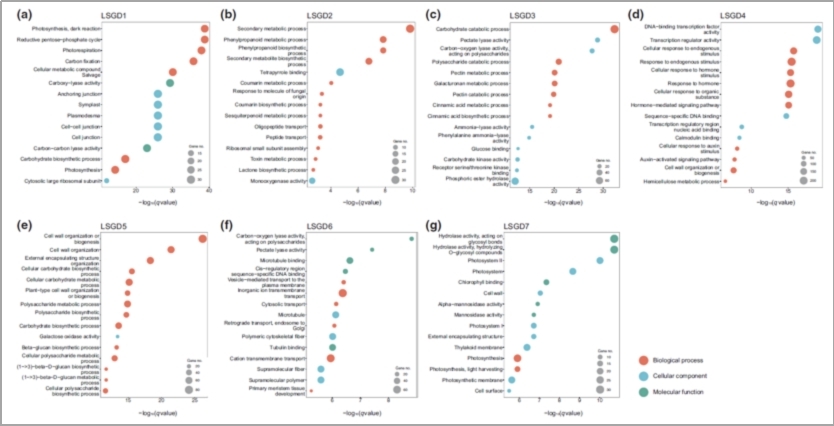 图片4.jpg 图片4.jpg