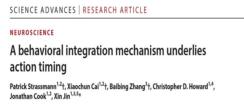 Research