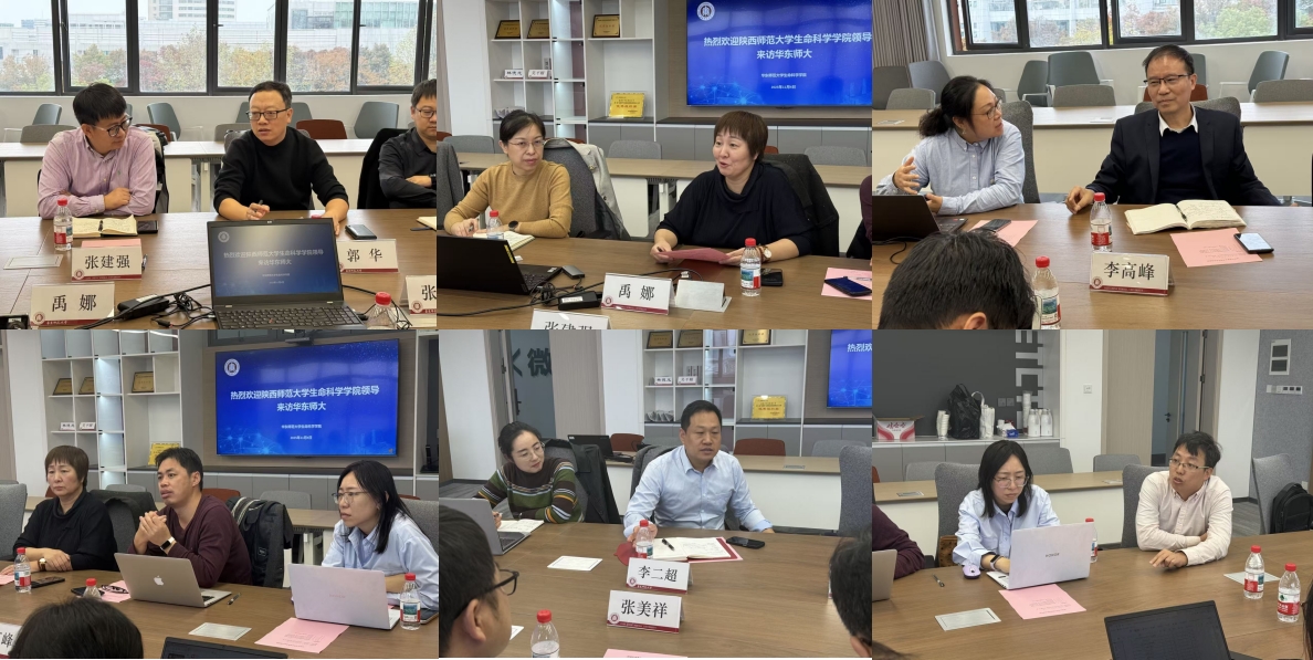 图片3.jpg 图片3.jpg