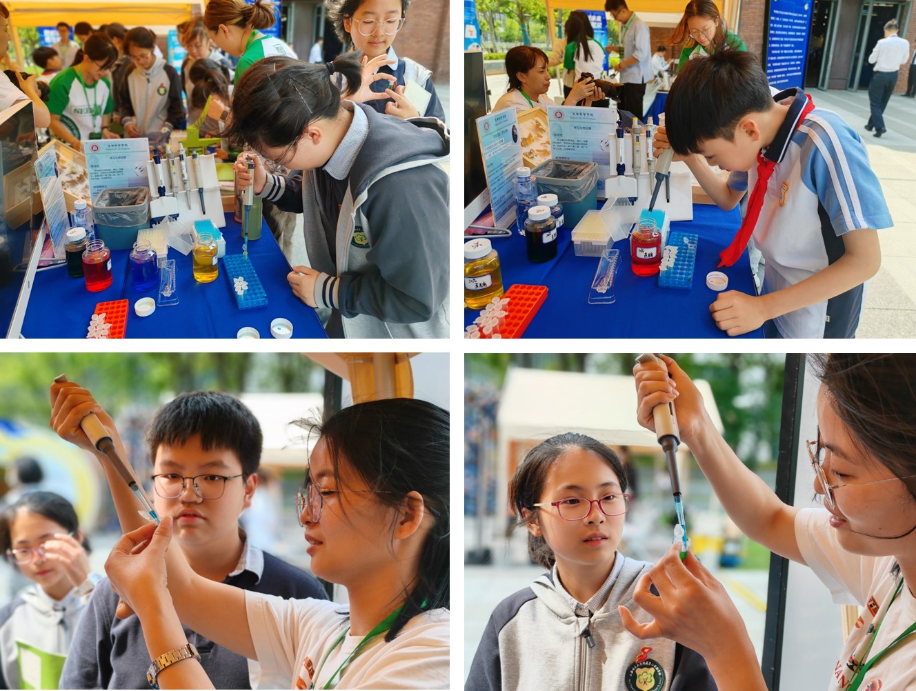 图片2.jpg 图片2.jpg