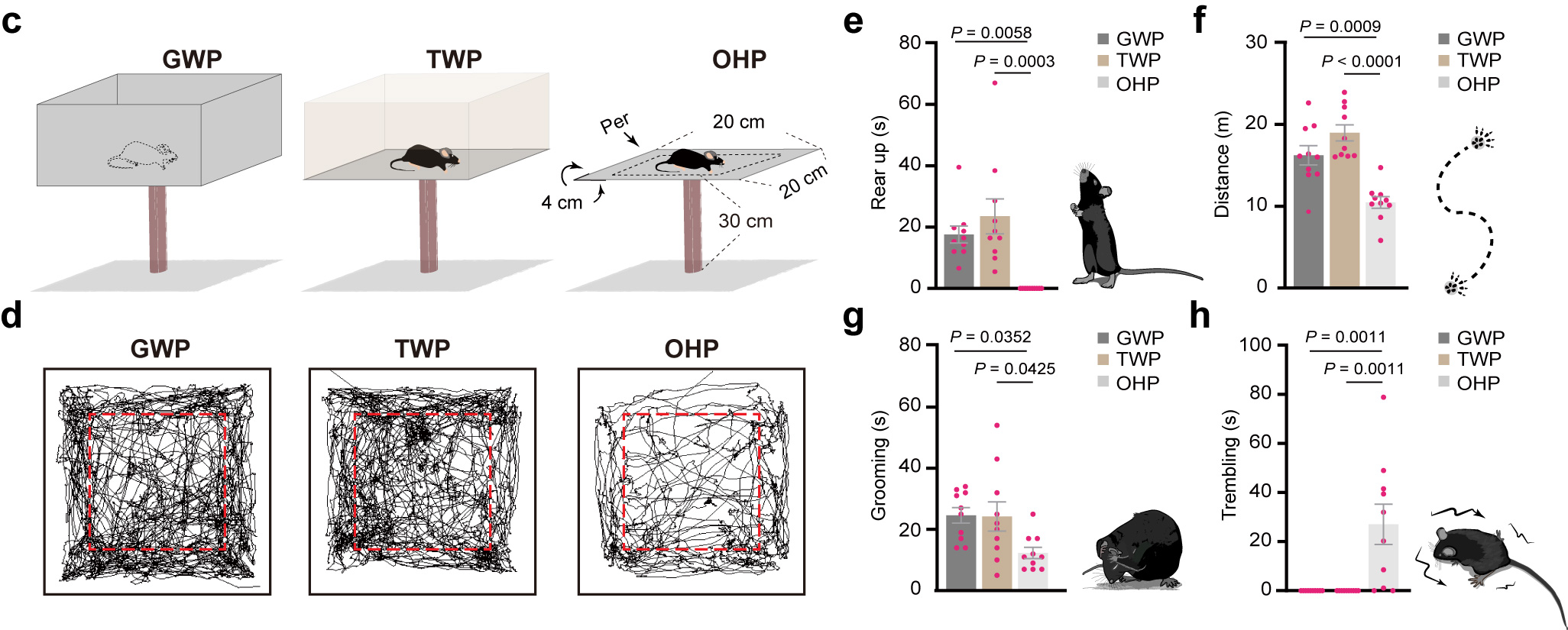 2 制定标准.jpg 2 制定标准.jpg