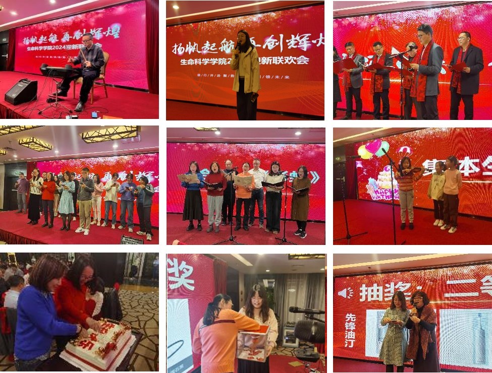 图片2.jpg 图片2.jpg