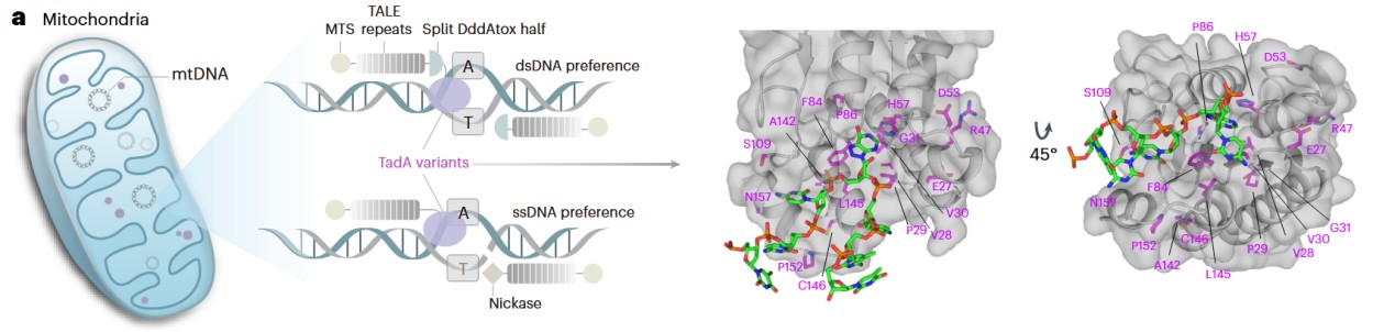 图片5.jpg 图片5.jpg