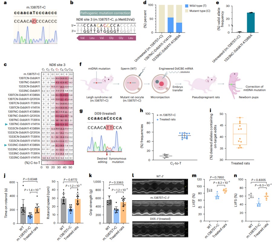 图片6.jpg 图片6.jpg
