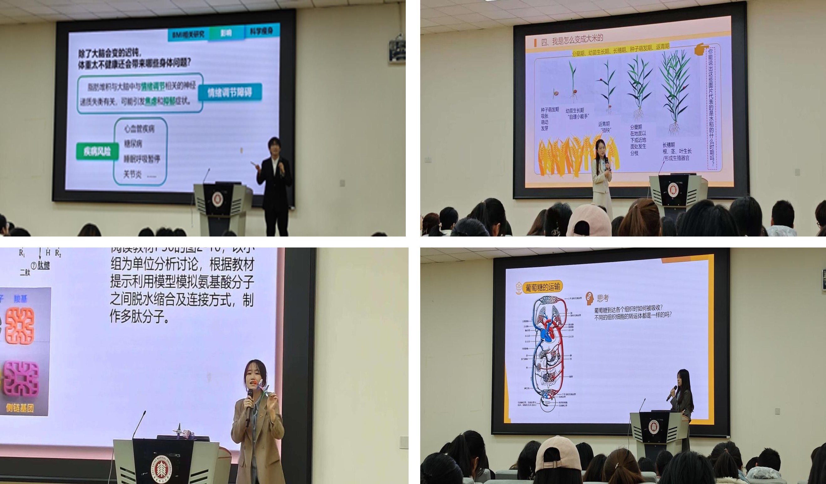 图片4.jpg 图片4.jpg